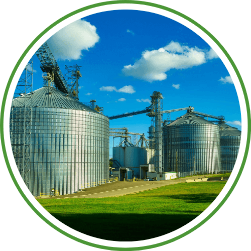 Atuação Agro Taceli