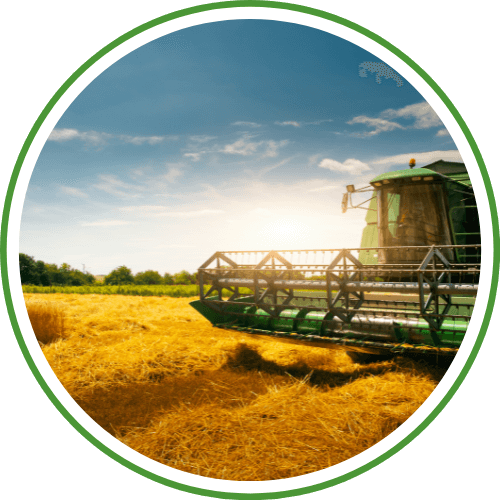 Investimento em Grãos em Barretos-SP